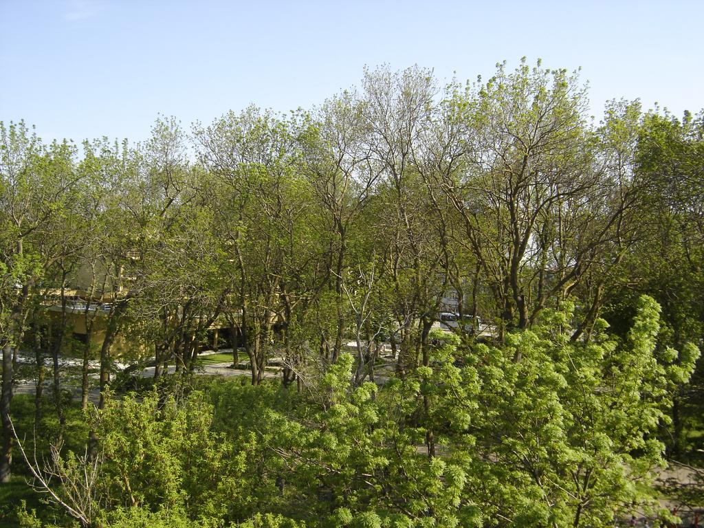 Central Park Family Hotel Kavarna Exteriör bild