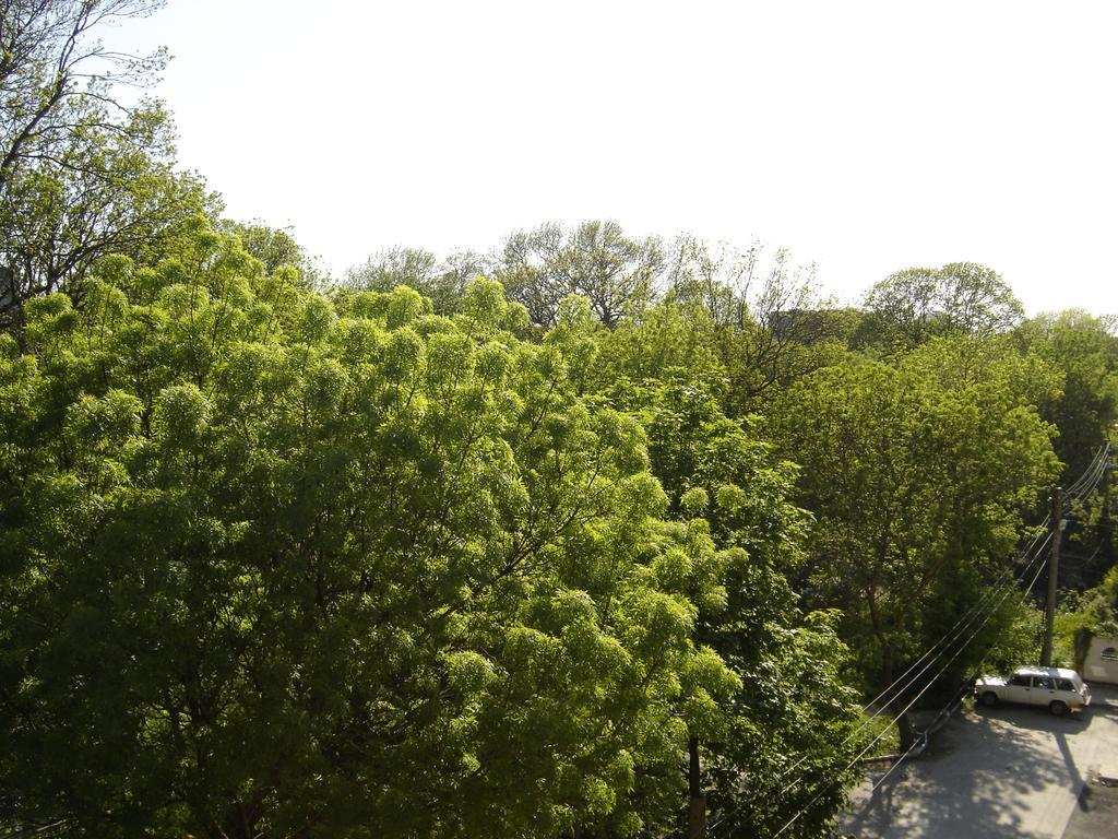 Central Park Family Hotel Kavarna Exteriör bild