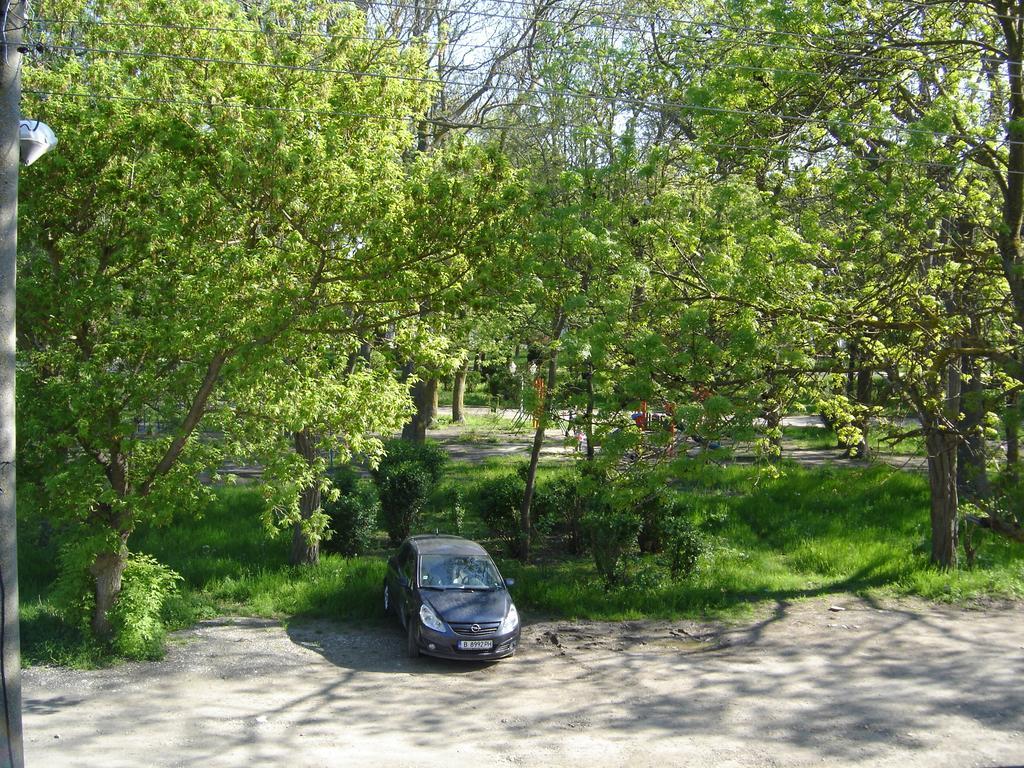 Central Park Family Hotel Kavarna Exteriör bild